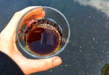 Внутренняя готовность и мотивация. Стоит ли вам открывать кофейню?