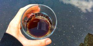 Внутренняя готовность и мотивация. Стоит ли вам открывать кофейню?