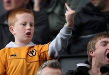 Волки из Вулверхэмптона. Некогда лучший клуб мира Вулверхэмптон Уондерерс - Stone Forest