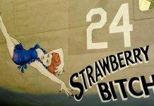 Рисунки девушек на боевых самолетах ВВС США в период Второй мировой войны Рисунок на борту самолета - Stone Forest