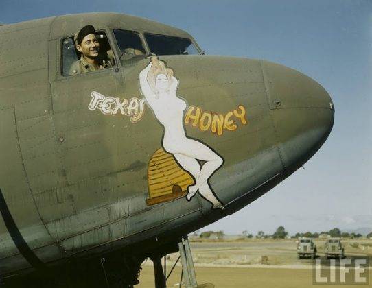 Рисунки обнаженных женщин на борту самолета - Stone Forest