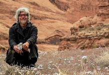 Суэло – как и зачем люди выбрасывают деньги из жизни Дэниел Джеймс Шеллабаргер - Stone Forest