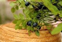 Где в вашем кофе малина, цветы и лимонное печенье?