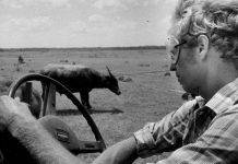 Родни Анселл: настоящий «Крокодил Данди» Родни Анселл - Stone Forest