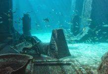 Атлантида – установлено точное местонахождение Остров Атлантида - Stone Forest