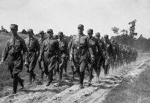 Ночь длинных ножей Ночь длинных ножей - Stone Forest