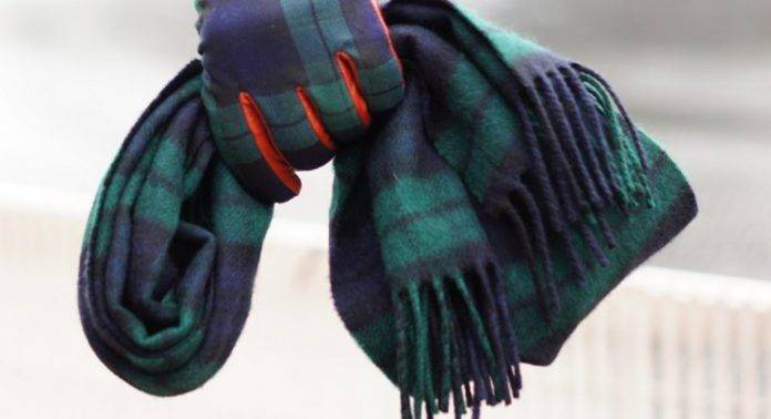Шотландский шарф в клетку - Stone Forest