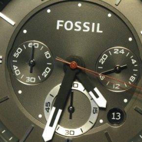 Fossil-2