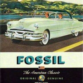 Fossil-4-1