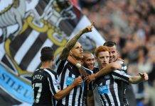 Сороки из Ньюкасла ФК Ньюкасл Юнайтед - Stone Forest