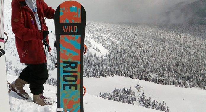Ride Snowboards - Stone Forest