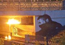 Паша 183 – история «русского Бэнкси» Паша 183 - Stone Forest