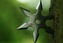 Сюрикэн – «лезвие, скрытое в руке» Сюрикэн - Stone Forest