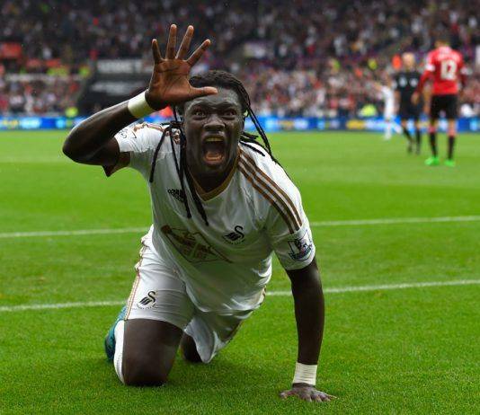 Валийские лебеди из Суонси Суонси Сити - Stone Forest