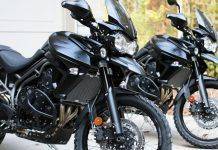 Triumph Tiger 800: «Хищник» на охоте Triumph Tiger 800 - Stone Forest