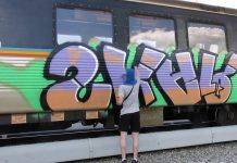 Трейнрайтинг вне конкуренции Nitro Combi - Каменный лес Stone Forest