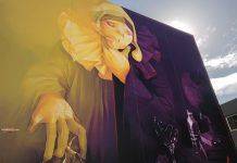 INTI в Австралии: наш Север – это Юг inti WonderWalls Street Art Festival - Каменный лес Stone Forest