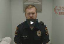 Короткометражка Andrew DeYoung Andrew DeYoung Brown - Каменный лес Stone Forest