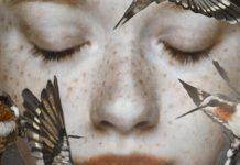 Imaginary Forces – Anne Imaginary Forces Anne - Каменный лес Stone Forest