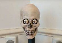 Говорящий череп от Amazon Проект Йорик - Каменный лес Stone Forest