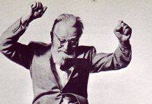 Эдвард Стайхен – основоположник модной фотографии Эдвард Стайхен - Каменный лес Stone Forest