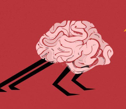 Геймификация: Понимание основ Геймификация - Каменный лес Stone Forest