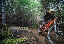 Звезда фрирайда Майк Хопкинс Майк Хопкинс - Каменный лес Stone Forest