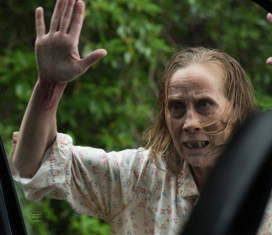 “Дыра в земле” – более подходящее название для фильма “Другой” Отзыв на фильм Другой 2019 - Каменный лес Stone Forest