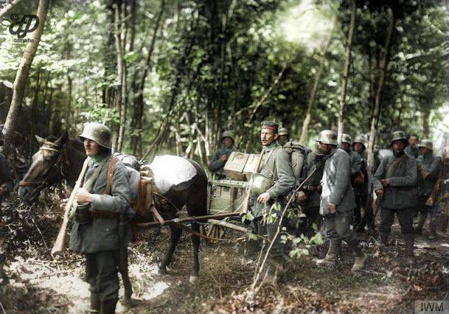 Немецкие солдаты на Первой мировой войне - Каменный лес Stone Forest