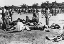 Бантустаны Южной Африки Бантустан - Каменный лес Stone Forest