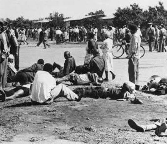 Бантустаны Южной Африки Бантустан - Каменный лес Stone Forest