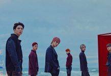 Феномен K-pop – почему корейские поп-исполнители получают мировую популярность Стиль K-pop - Каменный лес Stone Forest