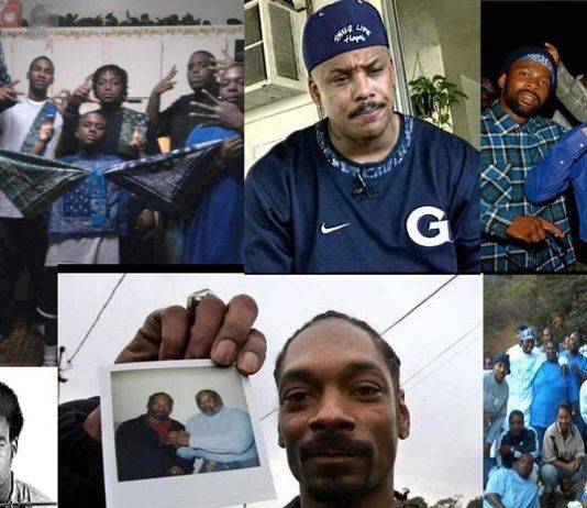 Банда Crips – американские «калеки» Банда Crips - Каменный лес Stone Forest