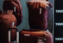 Знакомьтесь, Thule: история бренда из Швеции Сумки Thule - Каменный лес Stone Forest