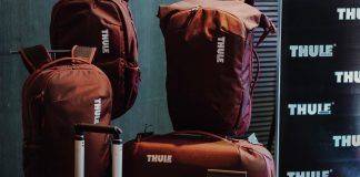 Знакомьтесь, Thule: история бренда из Швеции Сумки Thule - Каменный лес Stone Forest