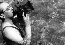 Мартин Мункачи – основатель живой фотографии Мартин Мункачи - Каменный лес Stone Forest