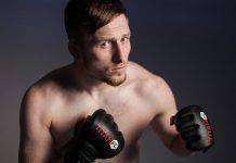 Бретт Джонс – Канарейка из Суонси Бретт Джонс - Каменный лес Stone Forest