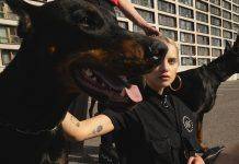 Гости выставки FACES&LACES первыми увидят коллекцию для COMMUNITY 66 BUD 66 x ZIQ & YONI - Каменный лес Stone Forest