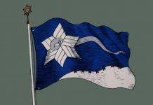 Ветвь Давидова: обещание «вечной жизни» Ветвь Давидова - Каменный лес Stone Forest