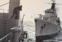 Тресковые войны Тресковые войны - Каменный лес Stone Forest