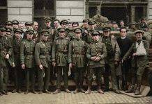 Фотографии гражданской войны в Ирландии 1922-1923 гг. Гражданская война в Ирландии - Каменный лес Stone Forest