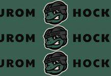 MUROM HOCKEY открывает хоккей по-новому Муром Хоккей - Каменный лес Stone Forest