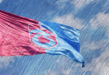 «Трабзонспор» – шестикратный чемпион Турции не из Стамбула Трабзонспор - Каменный лес Stone Forest