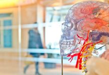 Открыта причина болезни Альцгеймера болезнь альцгеймера