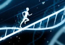 Конец старения Проблемы старения