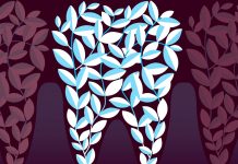 Новые зубы вырастут в любом возрасте новая технология выращивания зубов