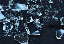 Жующая стёкла Жующая стёкла - Каменный лес Stone Forest