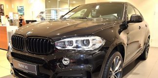 BMW X6 – уникальный представитель немецкого автопрома BMW X6 - Каменный лес Stone Forest