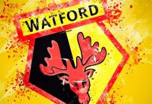 История футбольных “шершней” из города Уотфорд ФК Уотфорд - Каменный лес Stone Forest