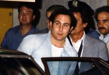 Дэвид Берковиц – убийца с 44-ым калибром Дэвид Берковиц - Каменный лес Stone Forest